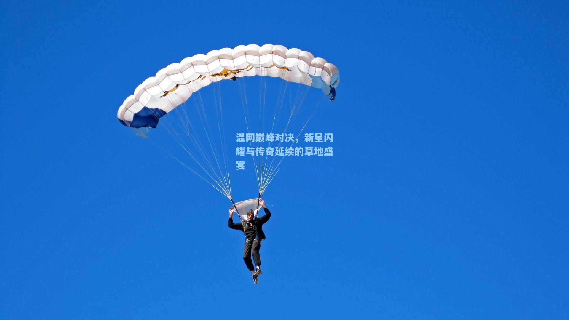 温网巅峰对决，新星闪耀与传奇延续的草地盛宴
